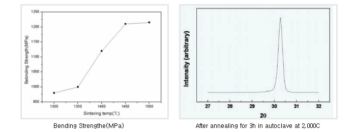 zirconia abutment02